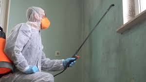 Best Mold Remediation for Healthcare Facilities  in Plano, IL