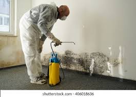 Plano, IL Mold Remediation Company